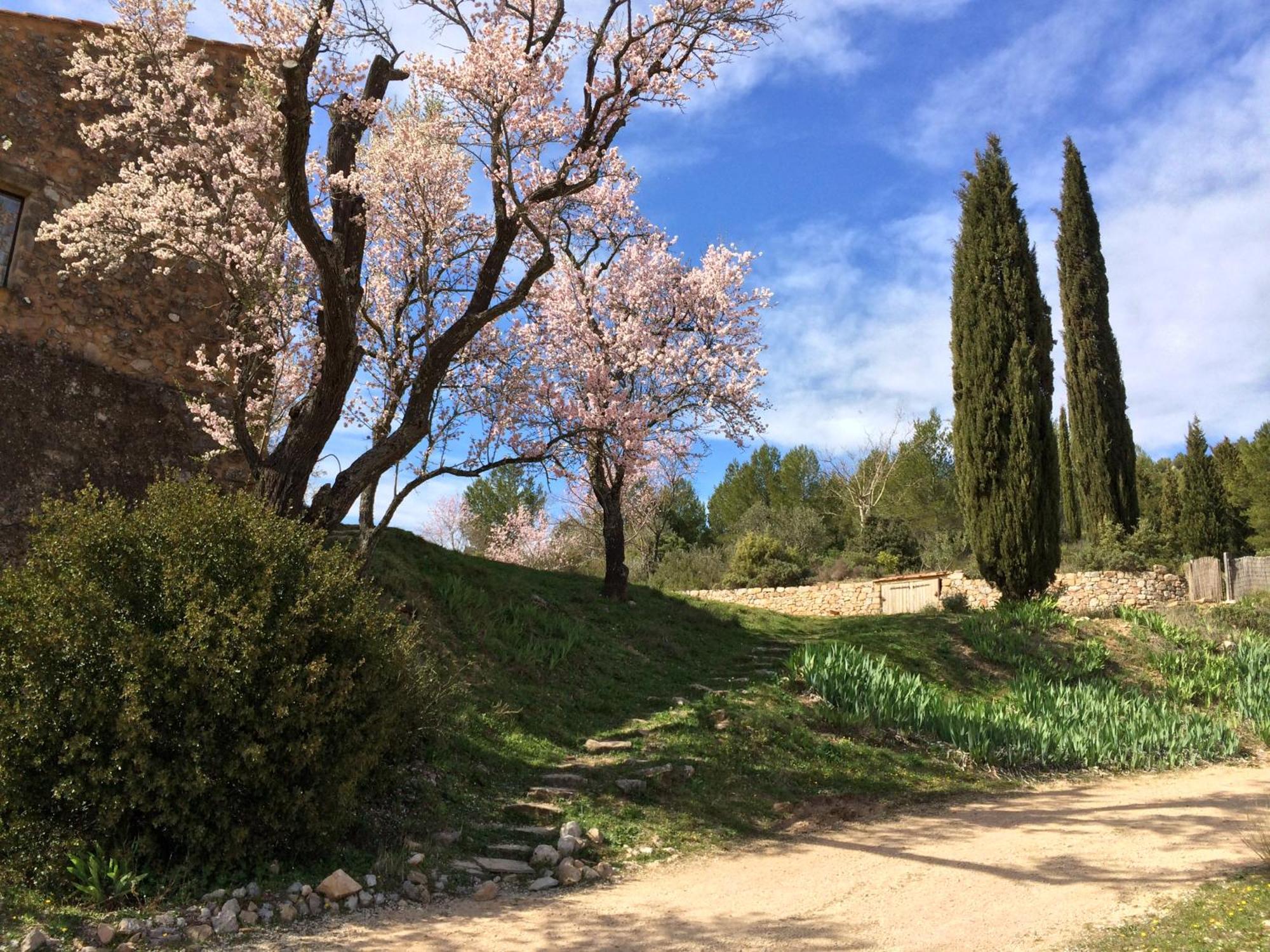 Maison A Aix En Provence Au Pied De La Sainte Victoire Beaurecueil Екстериор снимка